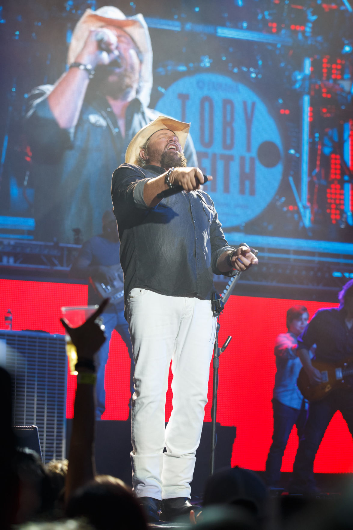 Toby Keith 2016 concert